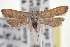  ( - CNCLEP00100136)  @14 [ ] CreativeCommons - Attribution (2013) CNC/CBG Photography Group Centre for Biodiversity Genomics