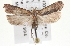  ( - CNCLEP00100169)  @14 [ ] CreativeCommons - Attribution (2013) CNC/CBG Photography Group Centre for Biodiversity Genomics