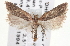  ( - CNCLEP00100171)  @14 [ ] CreativeCommons - Attribution (2013) CNC/CBG Photography Group Centre for Biodiversity Genomics
