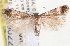 ( - CNCLEP00100229)  @14 [ ] CreativeCommons - Attribution (2013) CNC/CBG Photography Group Centre for Biodiversity Genomics