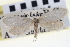  ( - CNCLEP00100267)  @11 [ ] CreativeCommons - Attribution (2013) CNC/CBG Photography Group Centre for Biodiversity Genomics