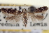  ( - CNCLEP00100358)  @11 [ ] CreativeCommons - Attribution (2013) CNC/CBG Photography Group Centre for Biodiversity Genomics
