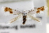  ( - CNCLEP00100587)  @11 [ ] CreativeCommons - Attribution (2013) CNC/CBG Photography Group Centre for Biodiversity Genomics
