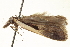  ( - CNCLEP00100638)  @12 [ ] CreativeCommons - Attribution (2013) CNC/CBG Photography Group Centre for Biodiversity Genomics
