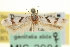  ( - CNCLEP00100654)  @11 [ ] CreativeCommons - Attribution (2013) CNC/CBG Photography Group Centre for Biodiversity Genomics