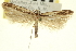  ( - CNCLEP00100786)  @13 [ ] CreativeCommons - Attribution (2013) CNC/CBG Photography Group Centre for Biodiversity Genomics