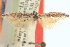  ( - CNCLEP00100828)  @11 [ ] CreativeCommons - Attribution (2013) CNC/CBG Photography Group Centre for Biodiversity Genomics