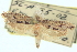  ( - CNCLEP00100854)  @12 [ ] CreativeCommons - Attribution (2013) CNC/CBG Photography Group Centre for Biodiversity Genomics