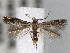  ( - CNCLEP00101375)  @11 [ ] CreativeCommons - Attribution (2013) CNC/CBG Photography Group Centre for Biodiversity Genomics