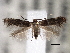  ( - CNCLEP00101377)  @11 [ ] CreativeCommons - Attribution (2013) CNC/CBG Photography Group Centre for Biodiversity Genomics