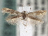 ( - CNCLEP00101379)  @13 [ ] CreativeCommons - Attribution (2013) CNC/CBG Photography Group Centre for Biodiversity Genomics
