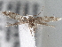  ( - CNCLEP00101381)  @13 [ ] CreativeCommons - Attribution (2013) CNC/CBG Photography Group Centre for Biodiversity Genomics