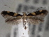 ( - CNCLEP00101411)  @13 [ ] CreativeCommons - Attribution (2013) CNC/CBG Photography Group Centre for Biodiversity Genomics