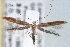  ( - CNCLEP00101427)  @14 [ ] CreativeCommons - Attribution (2013) CNC/CBG Photography Group Centre for Biodiversity Genomics