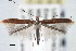 ( - CNCLEP00101428)  @15 [ ] CreativeCommons - Attribution (2013) CNC/CBG Photography Group Centre for Biodiversity Genomics