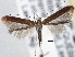  ( - CNCLEP00101430)  @14 [ ] CreativeCommons - Attribution (2013) CNC/CBG Photography Group Centre for Biodiversity Genomics