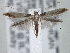  ( - CNCLEP00101436)  @14 [ ] CreativeCommons - Attribution (2013) CNC/CBG Photography Group Centre for Biodiversity Genomics