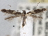  ( - CNCLEP00101437)  @12 [ ] CreativeCommons - Attribution (2013) CNC/CBG Photography Group Centre for Biodiversity Genomics