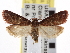  ( - CNCLEP00101494)  @14 [ ] CreativeCommons - Attribution (2013) CNC/CBG Photography Group Centre for Biodiversity Genomics