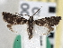  ( - CNCLEP00101567)  @11 [ ] CreativeCommons - Attribution (2013) CBG Photography Group Centre for Biodiversity Genomics