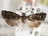  ( - CNCLEP00101569)  @14 [ ] CreativeCommons - Attribution (2013) CBG Photography Group Centre for Biodiversity Genomics