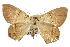  ( - CNCLEP00102211)  @12 [ ] CreativeCommons - Attribution (2013) CBG Photography Group Centre for Biodiversity Genomics
