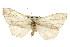  ( - CNCLEP00102455)  @14 [ ] CreativeCommons - Attribution (2013) CBG Photography Group Centre for Biodiversity Genomics