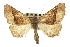  ( - CNCLEP00102511)  @14 [ ] CreativeCommons - Attribution (2013) CBG Photography Group Centre for Biodiversity Genomics