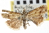  ( - CNCLEP00103012)  @12 [ ] CreativeCommons - Attribution (2013) CNC/CBG Photography Group Centre for Biodiversity Genomics