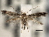  ( - CNCLEP00103090)  @13 [ ] CreativeCommons - Attribution (2013) CNC/CBG Photography Group Centre for Biodiversity Genomics