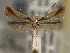  ( - CNCLEP00103120)  @11 [ ] CreativeCommons - Attribution (2013) CNC/CBG Photography Group Centre for Biodiversity Genomics