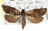  ( - CNCLEP00103259)  @14 [ ] CreativeCommons - Attribution (2013) CNC/CBG Photography Group Centre for Biodiversity Genomics