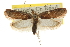  ( - CNCLEP00103447)  @15 [ ] CreativeCommons - Attribution (2013) CBG Photography Group Centre for Biodiversity Genomics