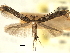  ( - CNCLEP00103979)  @11 [ ] CreativeCommons - Attribution (2013) CBG Photography Group Centre for Biodiversity Genomics