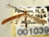  ( - CNCLEP00103988)  @11 [ ] CreativeCommons - Attribution (2013) CBG Photography Group Centre for Biodiversity Genomics