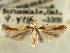  ( - CNCLEP00103995)  @11 [ ] CreativeCommons - Attribution (2013) CBG Photography Group Centre for Biodiversity Genomics