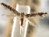  ( - CNCLEP00104072)  @11 [ ] CreativeCommons - Attribution (2013) CBG Photography Group Centre for Biodiversity Genomics