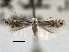 ( - CNCLEP00104087)  @11 [ ] CreativeCommons - Attribution (2013) CBG Photography Group Centre for Biodiversity Genomics