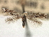 ( - CNCLEP00104238)  @11 [ ] CreativeCommons - Attribution (2013) CBG Photography Group Centre for Biodiversity Genomics