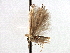  ( - CNCLEP00104240)  @11 [ ] CreativeCommons - Attribution (2013) CBG Photography Group Centre for Biodiversity Genomics