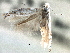  ( - CNCLEP00104241)  @11 [ ] CreativeCommons - Attribution (2013) CBG Photography Group Centre for Biodiversity Genomics