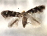  ( - CNCLEP00104284)  @11 [ ] CreativeCommons - Attribution (2013) CBG Photography Group Centre for Biodiversity Genomics