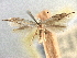  ( - CNCLEP00104285)  @11 [ ] CreativeCommons - Attribution (2013) CBG Photography Group Centre for Biodiversity Genomics