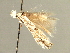  ( - CNCLEP00104301)  @11 [ ] CreativeCommons - Attribution (2013) CBG Photography Group Centre for Biodiversity Genomics