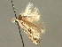  ( - CNCLEP00104303)  @11 [ ] CreativeCommons - Attribution (2013) CBG Photography Group Centre for Biodiversity Genomics