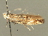  ( - CNCLEP00104304)  @11 [ ] CreativeCommons - Attribution (2013) CBG Photography Group Centre for Biodiversity Genomics