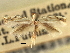  ( - CNCLEP00104313)  @11 [ ] CreativeCommons - Attribution (2013) CBG Photography Group Centre for Biodiversity Genomics