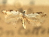  ( - CNCLEP00104315)  @11 [ ] CreativeCommons - Attribution (2013) CBG Photography Group Centre for Biodiversity Genomics