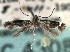  ( - CNCLEP00104615)  @11 [ ] CreativeCommons - Attribution (2013) CBG Photography Group Centre for Biodiversity Genomics