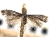  ( - CNCLEP00104638)  @11 [ ] CreativeCommons - Attribution (2013) CBG Photography Group Centre for Biodiversity Genomics